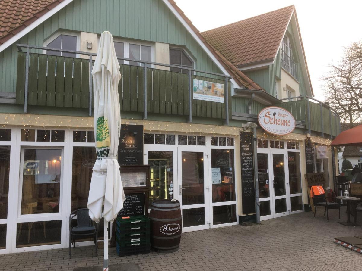 Doppelhaushaelfte Birkenstrasse 5E Vila Zingst Exterior foto