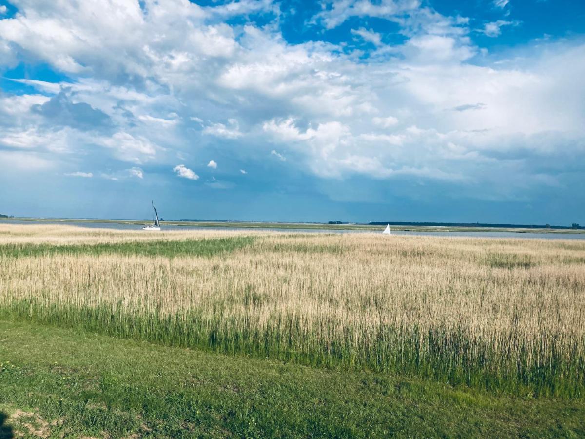 Doppelhaushaelfte Birkenstrasse 5E Vila Zingst Exterior foto