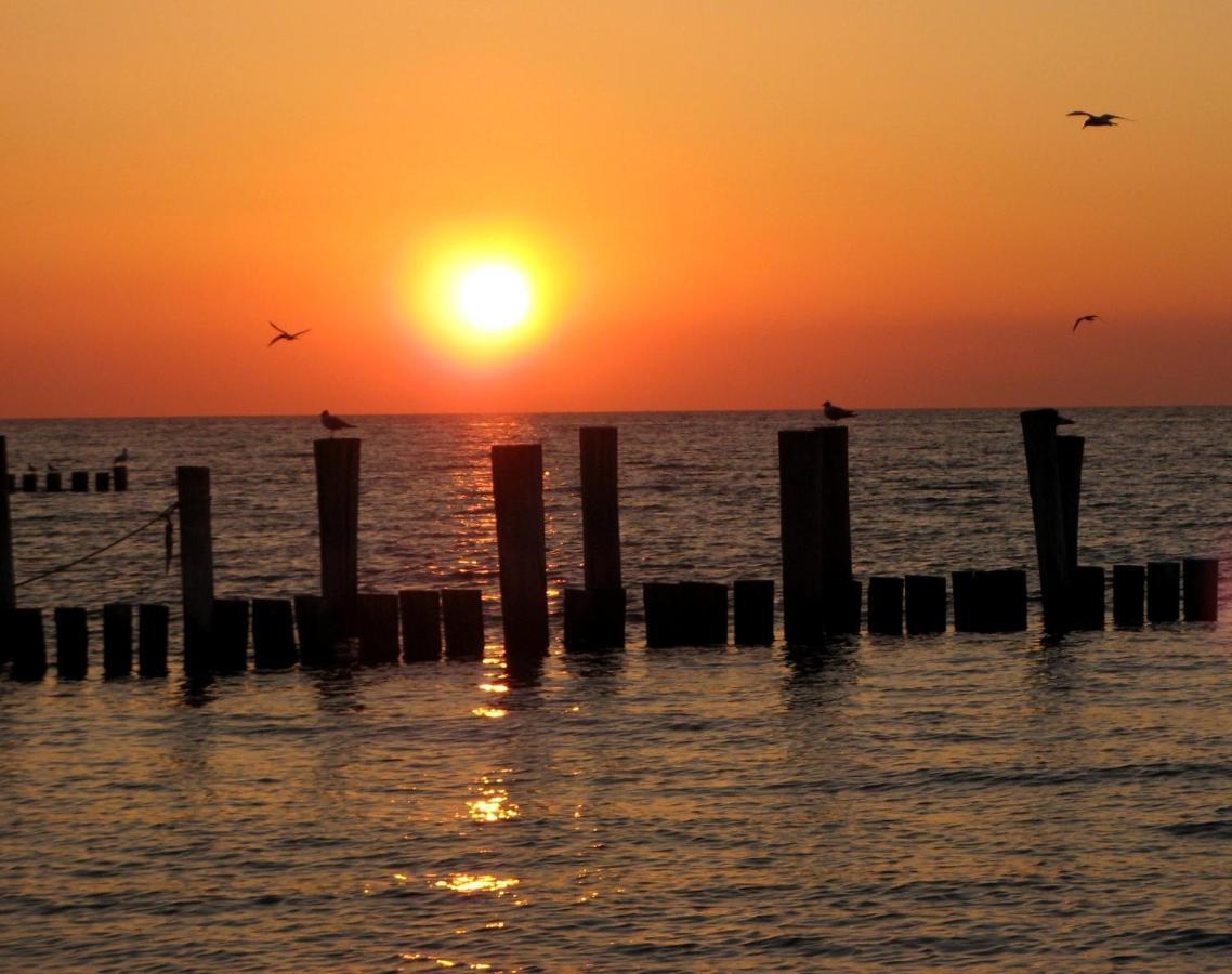 Doppelhaushaelfte Birkenstrasse 5E Vila Zingst Exterior foto